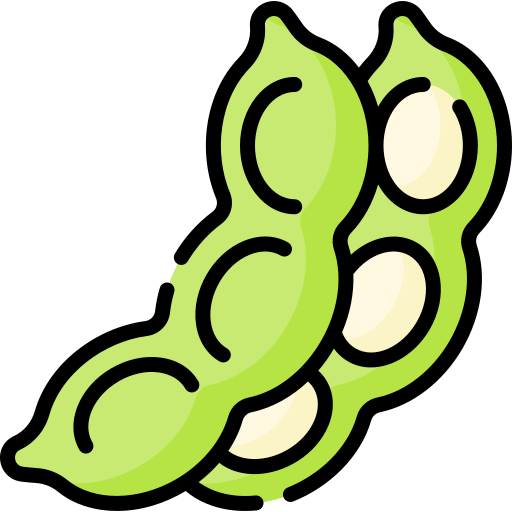 ico_5 ico_5
